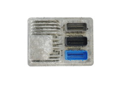 Controller Opel 12680881 12669908 811839393 Delphi GM
