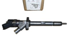 Fuel Injection Original Citroen Peugeot C5 C8 406 607 807 2.2HDI 1980AN