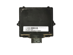Controller LPG 10R-030831 67R-010020 110R-000044 Romano 28317