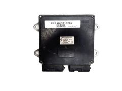 ca2-db5119eby