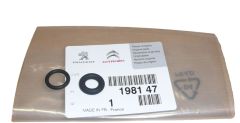 Gasket, Seal New Original 1981.47 198147 Citroen Peugeot