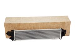 Intercooler Original Renault Opel Nissan Fiat 144614882R