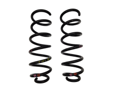 Suspension Spring Right/Left Rear Sandero 2 550207022R Stepway Dacia