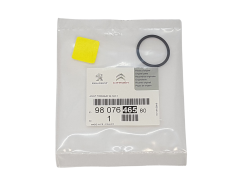 Gasket, Seal Original Citroen Peugeot 9807646580