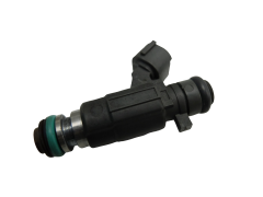Fuel Injection Renault Nissan FBJC101 16600AE060 3.5 V6