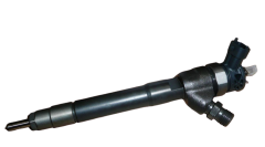 Fuel Injector Renault 166105302R Qplus