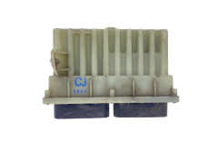 Controller 24410130 15396912 Opel GM Delphi 54391