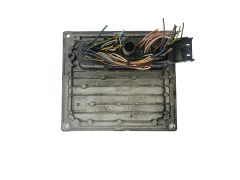 Controller S118107004C 3S61-12A650-CA Ford Siemens 38231