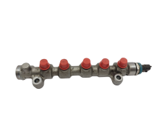 Injection Rail 0445214255 175216713R Renault 2.5 DCI 0281006188