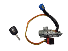 Ignition Switch Peugeot 406 N0500109 4162Z6 14413