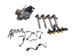 Fuel pump and injectors 167003606R 0445110800 1.5 DCI Blue dci 1000km