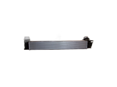 Air Cooler REN 144960600R