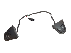 Cruise Control Stalk Switch Renault 255500003R