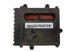 ca2-pk2873eby