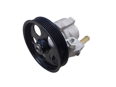 Power Steering Pump 491106541R 1.4 1.6 Dacia Renault