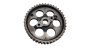 Camshaft Pulley 193029 1.9 TD Citroen 0460494342 