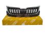 Radiator Grille For Skoda Kodiaq 565853653C 88531819202 DPA