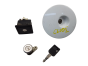 Lock Insert Renault Clio 1 7701470016 7700829695 7701038363 14288