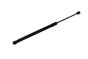 Boot Lid Strut 3T5827550 B19169 Skoda Superb 2 Borsehung