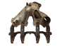 Exhaust Manifold 7700854137 Renault 19 1.7 F3N