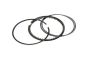 Piston Rings For Mercedes-Benz A2760300224 B10367 Borsehung