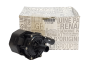 Water Pump Original Renault 210101348R