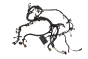 Engine Wiring System 9663562580 9HW 1.6 HDI 16v Citroen Berlingo Delphi