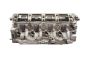 Cylinder Head 1.9 DCI F9QA260 6660 Nissan Primera P12
