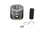 Engine Piston Kit 03L107065S B19302 VW Audi Seat Skoda Borsehung