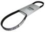 Drive Belt 5PK1110 New Original 8200841132 Renault Dacia