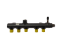 Injection Rail 9674300080-03 Citroen Peugeot Delphi 2.0 Blue HDI
