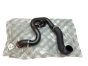 Air Hose Original Citroen Peugeot Fiat 1614084380