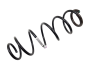 Suspension Spring Rear Original Renault Laguna 3 550200002R