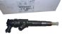 Fuel Injector Original 1610578480 Citroen Peugeot