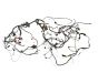 Wiring Loom Harness Dacia Logan 6001547848