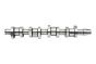 Camshaft 038109101R B17861 VW Audi Seat Skoda Borsehung
