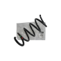 Coil Spring Front Original 540101780R Renault