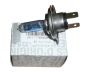 Light Bulb H4 12V 60/55W New Original 267179842R Renault