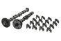 Camshaft Set For VW Audi Seat 06H109021K 06H109022BC B19173 Borsehung