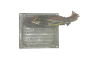 Controller Ford 6S61-12A650-FD S120977315D 2CJD Siemens 57586