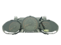 Speedometer/Instrument Cluster Honda Jazz HR0337024 78100SAAF500 59