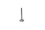 Exhaust Valve For VW Seat Skoda 028109611K B19000 Borsehung