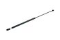 Bonnet Strut 8P0823359 B18427 Audi A3 Borsehung