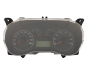 Speedometer/Instrument Cluster Fiat Doblo 5550011005 29931