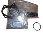 Gasket, Seal New Original 144D19994R Renault