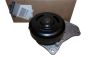 Water Pump New Original 210102662R Renault Dacia
