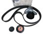 Drive Belt Tensioner New Original Renault Trafic 3 Scenic 4 1.6 dCi 1172000Q9F