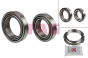 Wheel Bearing 432100605R Renault Master 3 2.3 DCi