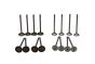 Valves For VW Audi Seat Skoda 03C109601M 03C109611R B18138 Borsehung