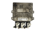 Controller 3S61-12A650-LC 5WS40140E-T Ford Siemens 18131